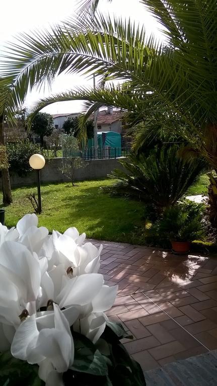 B&B La Cascina Concordia Sagittaria 外观 照片