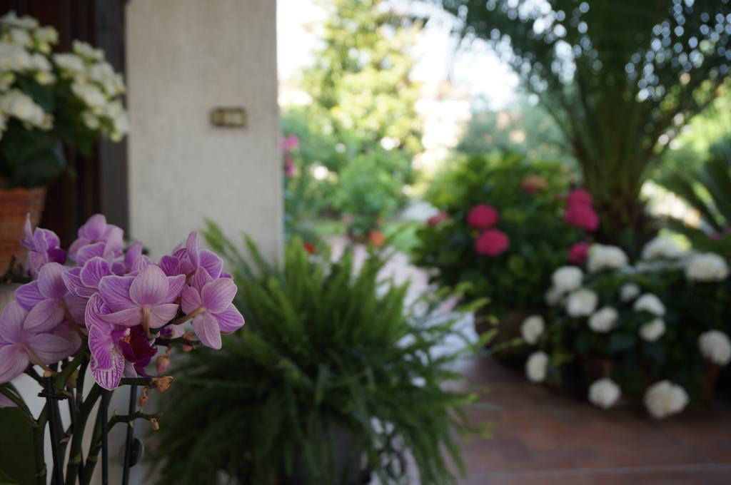 B&B La Cascina Concordia Sagittaria 外观 照片